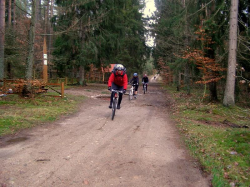 Wyjazd na szosę prowadzącą na Tyłowo