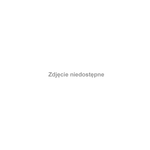 JednoŚwiatowe Ferie Zimowe 2007, Opiekun: Grazyna Jabłońska, Koordynator - Bartłomiej Trzeciak