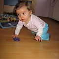 Zuzinek
