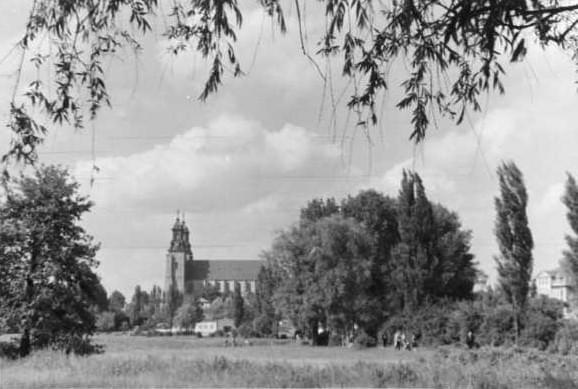 Katedra od strony obecnej ul.Poznańskiej