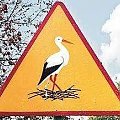 Znak drogowy w parku w Witnicy
(woj.lubuskie)
Źródło:Superexpress #SymbolikaBociana #WizerunekBociana