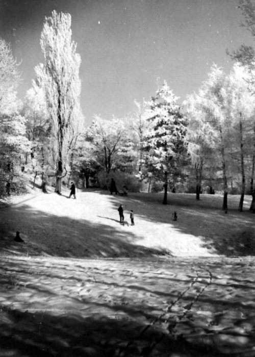 Górka w parku od strony Al.Marcinkowskiego