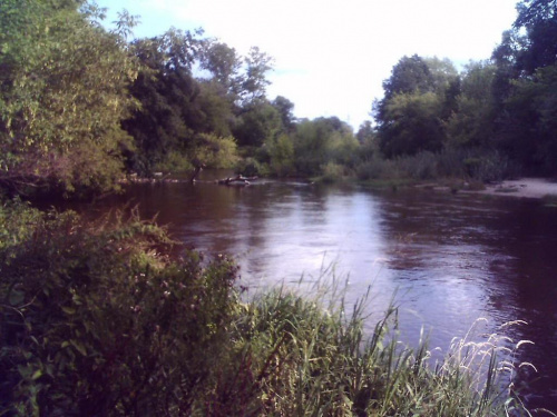 Rzeka Świder.