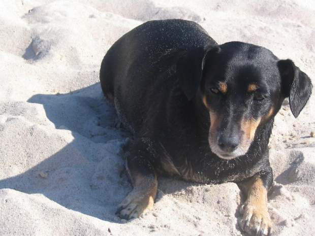 Drops na plaży :)