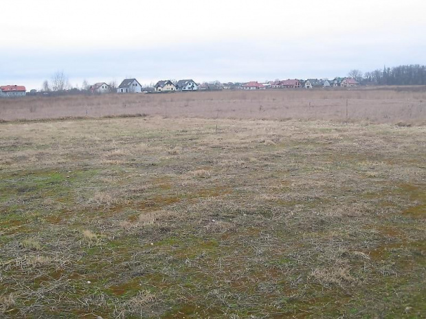 Działka - widok północny zachód (w głębi domy w Lutyni)