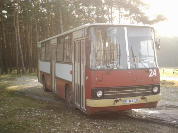 Ikarus Tomaszowskiego MZK boczny 24ostatni jaki sie uchowal w naszej zajezdni...pętla Brzustów II #Ikarus #mzk #tomaszów #brzustów