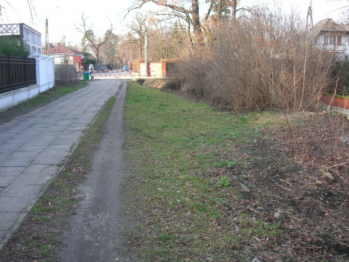 Ulica Grudowska, pozostałości szyn kolejki WKD w liściach z prawej