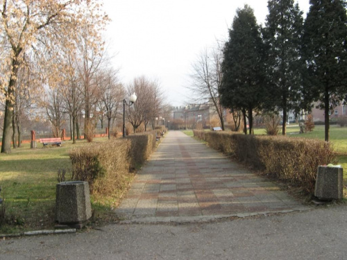Poręba
