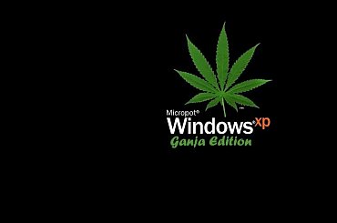 gadzia wymiata #marycha