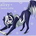 Valixy