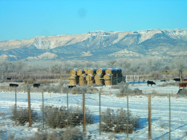 Colorado.