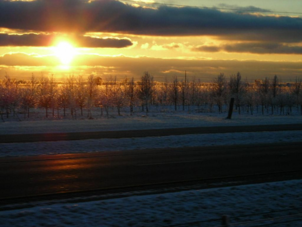 Po burzy lodowej w Missouri, styczeń 2007