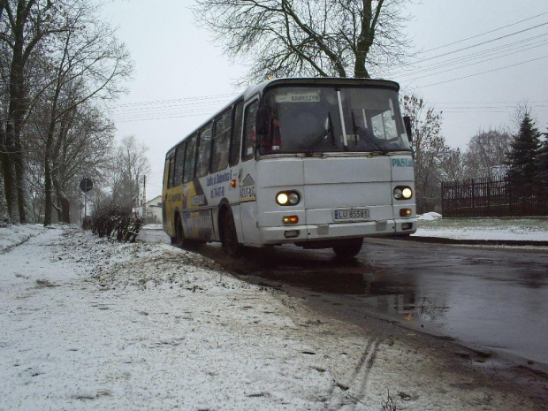 PKS Lublin. Bystrzejowice- Lublin