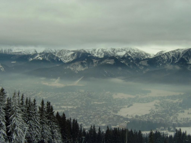 tatry #Góry #widoki #drzewa