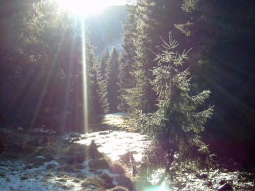 tatry