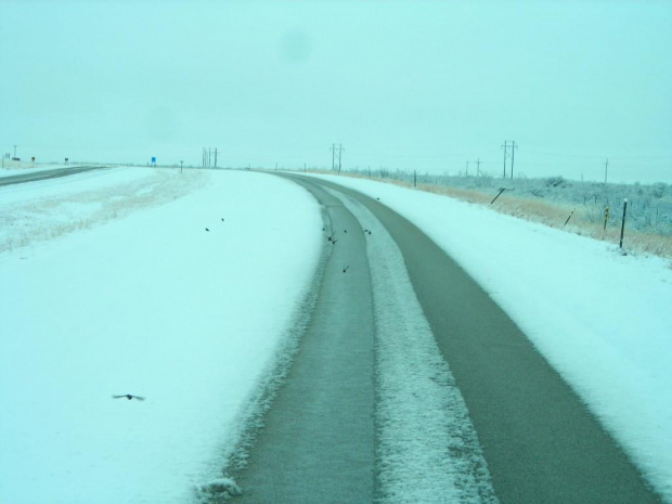 Zima w NM