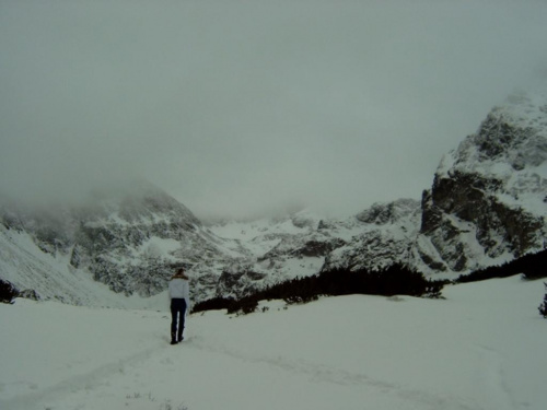 tatry