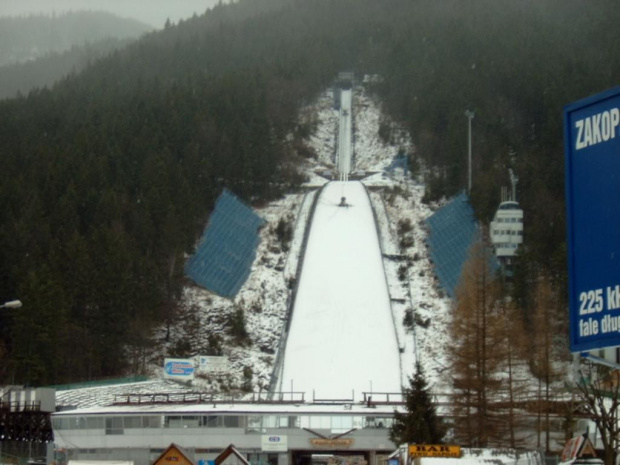 tatry #Góry #widoki #drzewa