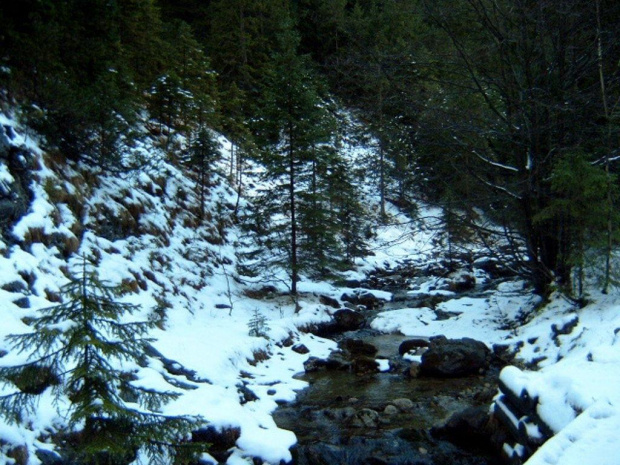 tatry #tatry #góryśnieg #widoki #drzewa