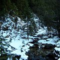 tatry #tatry #góryśnieg #widoki #drzewa