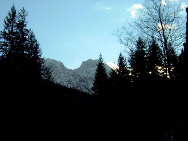 tatry #tatry #góryśnieg #widoki #drzewa