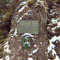 tatry- #gory #tatry #zakopane #widoki #zima