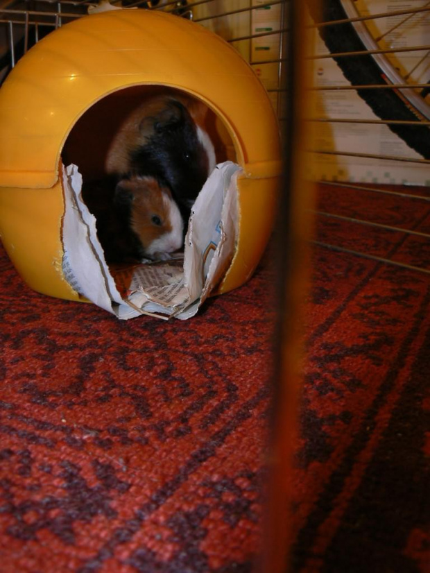 MAluchy ^^