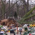 25.01.2007 - IDZIE ZIMA