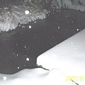 Widać ile nasypało od rana, widoczne z pod śniegu sztachetki mają 2,0 cm wys.