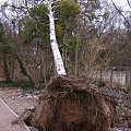 25.01.2007 - IDZIE ZIMA
