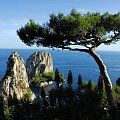 #Italia #Capri