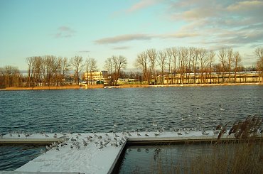 MALTA POZNAŃ - ŚNIEG NA MALCIE - 25-01-2007 #MALTAPOZNA #ŚNIEGNAMALCIE #Malta #jezioro #Śnieg2007