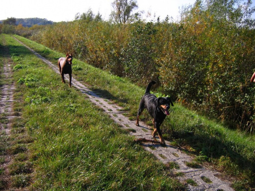 22.10.2006 - BRZEGIEM REDŻI