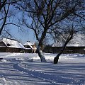 Janowiec