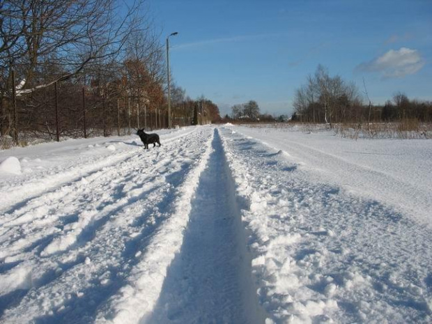 Grodzisk i okolice