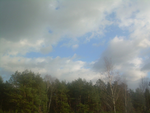 nadciągają chmury......moja wyobraźnia rusza pełną parą:)))))))))))