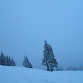 Wyjazd w Gorce 2007; panorama spod schroniska na Turbaczu