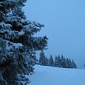 Wyjazd w Gorce 2007; panorama spod schroniska na Turbaczu