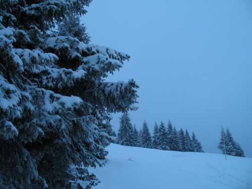 Wyjazd w Gorce 2007; panorama spod schroniska na Turbaczu