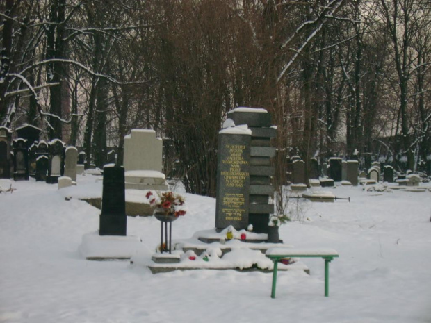 Park Schoena, Park przy ulicy Żeromskiego i cmentarz żydowski