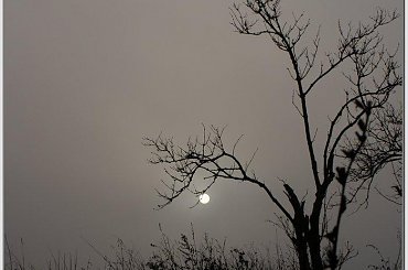 Czekając na dzień #wschód #wschody #niebo #krajobrazy #słońce #jesień #mgła #droga #drzewa #spacery