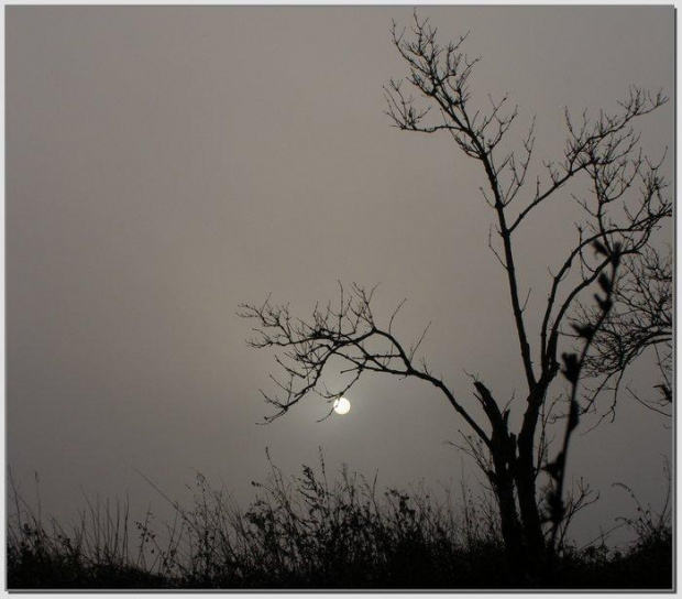 Czekając na dzień #wschód #wschody #niebo #krajobrazy #słońce #jesień #mgła #droga #drzewa #spacery