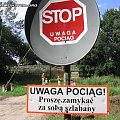 Widziane w Polsce