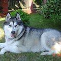 Alaska