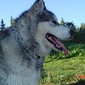 Alaska